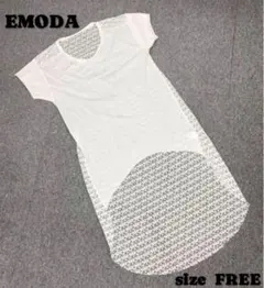 〇6617B〇 EMODA トップス 女性