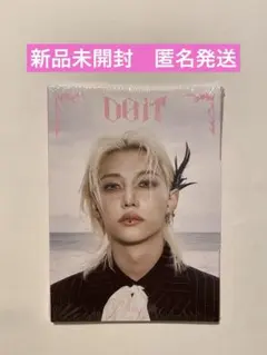 【新品 未開封】Stray Kids DO IT アコーディオン フィリックス