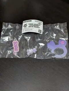 TWICE LOVELYS アクリルカラビナフロッキーマスコット サナ　サブリー