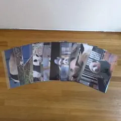 JARI様 リクエスト 3点 まとめ商品