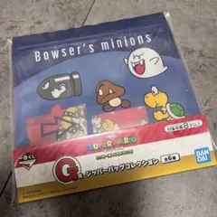 【新品未開封未使用】スーパーマリオ 1番くじ G賞 ジッパーバッグコレクション