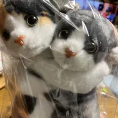 Item thumbnail for item a68422da-347d-4125-8cfe-ce47e3b7ad23