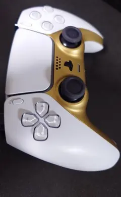 カスタム DualSense ワイヤレスコントローラー「ジャンク」