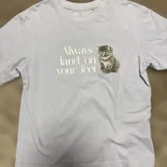 UNIQLO ユニクロ 猫 キャットフォトグラフ UT Tシャツ S