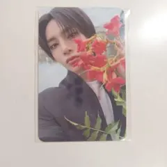 stray kids karma POPUP 購入特典　トレカ　アイエン