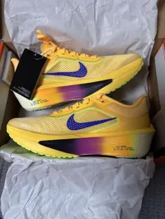 Nike Zoom Fly 6 ズームフライ6 26.0cm