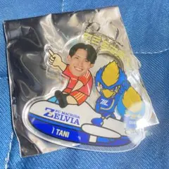 谷晃生 応援グッズ