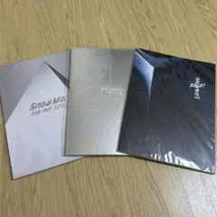 Snow Man パンフレット 3冊セット