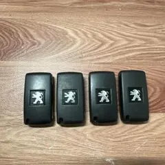 Item thumbnail for item 544f8682-dddc-44ad-a018-1907eb11d91f