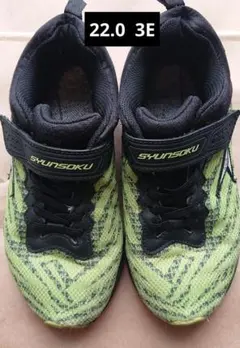 Item thumbnail for item 1dc11a6f-f048-4765-b570-d173f6edef39