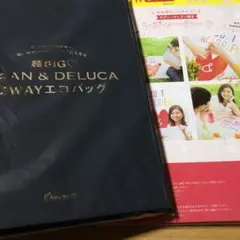 DEAN & DELUCA 2WAYエコバッグ BIG➕レジャーシート2点