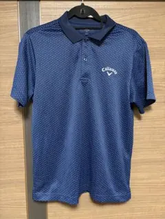 Item thumbnail for item 3bf146ee-af02-4270-9f90-0a2cf3261a24