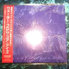 IT'S A BEAUTIFUL PLACE 国内盤 CD ※要説明
