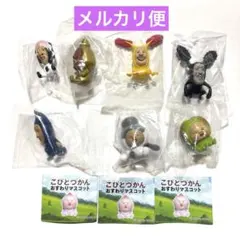 こびとづかん ガチャ おすわりマスコット 7点セット