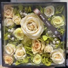 Item thumbnail for item c19e013d-cb94-4aaf-a511-1b857288639b