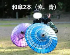 Item thumbnail for item 3efb1d63-460d-41e2-b322-8a10d92559cc