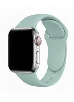 Apple Watch バンド ミントグリーン 38/40/41mm