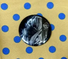 鬼滅の刃 WEBSHOPくじ 刀鍛冶の里編 缶バッジ B賞 時透無一郎