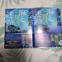 大沢在昌 海と月の迷路 上下巻セット
