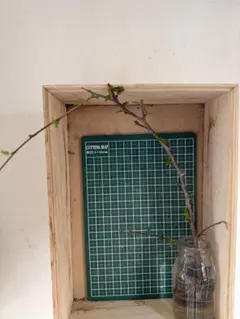 ひょっとこ様 リクエスト 2点 まとめ商品