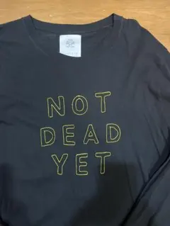 Item thumbnail for item 1d05d37b-511a-4da4-9e67-88e7719acb88