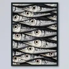 魚ポスター　釣り　ショップ　店舗　ミッドセンチュリー　カフェ　リビング　絵　A3