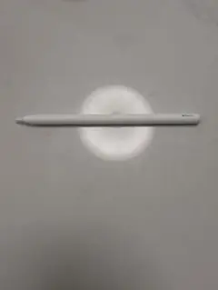 Apple Pencil ホワイト A2051