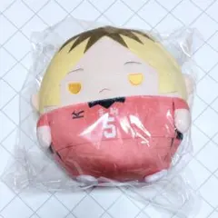 くじメイト　ハイキュー!! ぬいくじ　C賞　ふわコロりん Msize　孤爪研磨