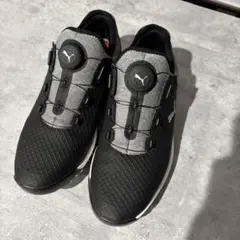 [美品]プーマゴルフシューズ プロアダプト アルファキャット ディスク メンズ