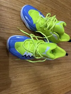 バスケットボールシューズ イエロー/ブルー　pumaのサムネイル