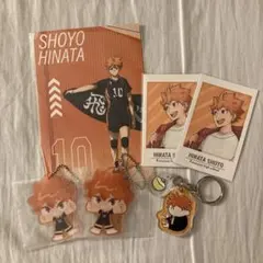 ハイキュー 日向翔陽