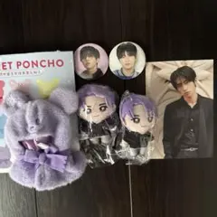 許豊凡ぬいぐるみ2体とバッジセット