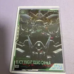 2025年最新】ブラックナイトスコード カルラ シークレットの人気