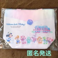ディズニーシー　ダッフィー　スーベニア　ランチケース