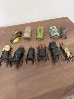 クワガタ カブトムシ 標本 まとめ売り - メルカリ