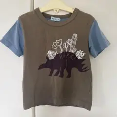 hakka kids 恐竜 ステゴサウルスTシャツ 100cmのサムネイル