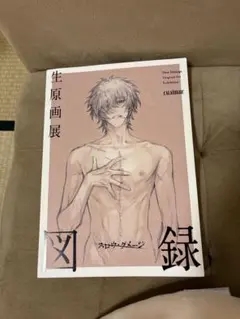 2026年最新】スロウダメージ 図録の人気アイテム - メルカリ