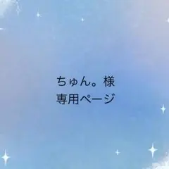 ちゅん。様　専用ページ