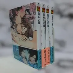 凪良ゆう　美しい彼　4冊セット ⑯