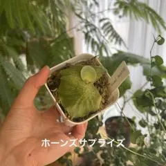 me♡様 リクエスト 3点 まとめ商品