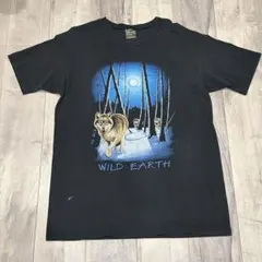 Item thumbnail for item ec0f9ec5-79a3-4a1f-851b-55419b7bb75b