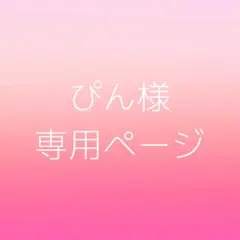 ネイルチップ 専用ページ ぴん様