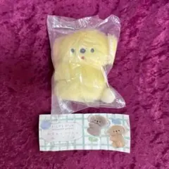 にこやまポッケ コアラ ぬいぐるみ キーホルダー ガチャ Qualia