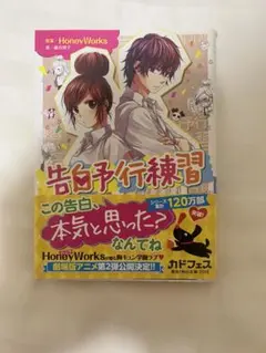 告白予行練習 藤谷燈子 HoneyWorks 角川文庫