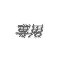 専用ページ