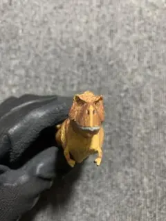 ティラノサウルスのサムネイル