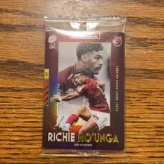 Item thumbnail for item d49e90a0-9ead-42f3-8c16-97b1b0baa56a