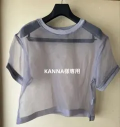 CIAOPANIC TYPY シアー 半袖 トップス グレーのサムネイル