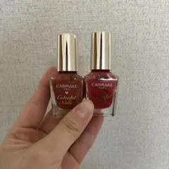 CANMAKE カラフルネイル 2本セット 9031 0031