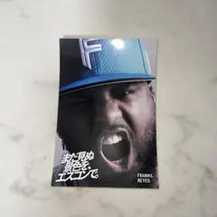 エスコン 応援グッズ